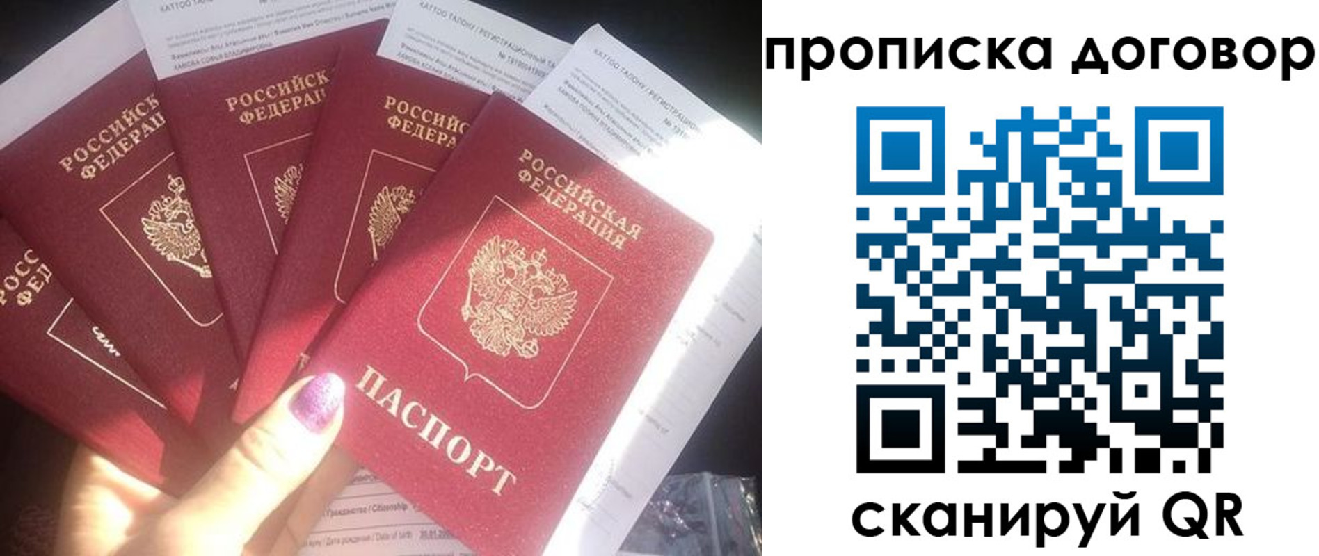 где прописаться в Александровске-Сахалинском